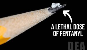 A lethal dose of fentanyl is the same amount of a few grains of salt. 